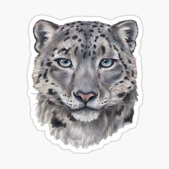 Discover Snow Leopard