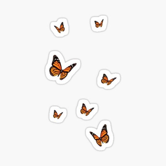Discover 7 individual butterflies