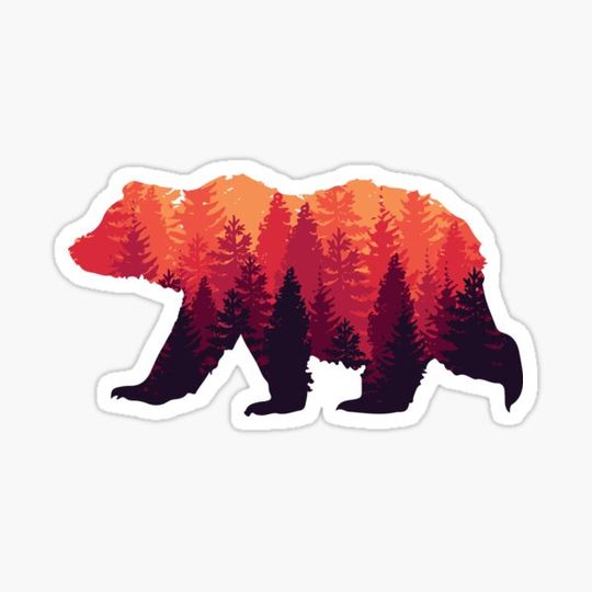 Discover Forest Bear