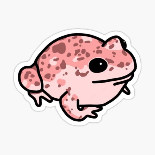 Discover Pink Speckled Frog