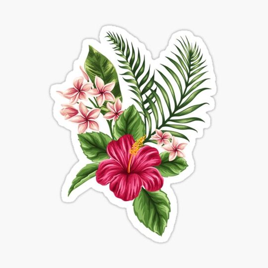 Discover Tropical Flower