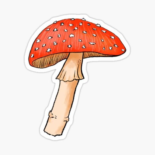 Discover Amanita muscaria red mushroom graphic fungus art