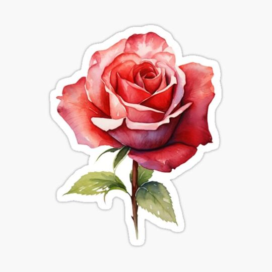 Discover Red Rose Watercolor