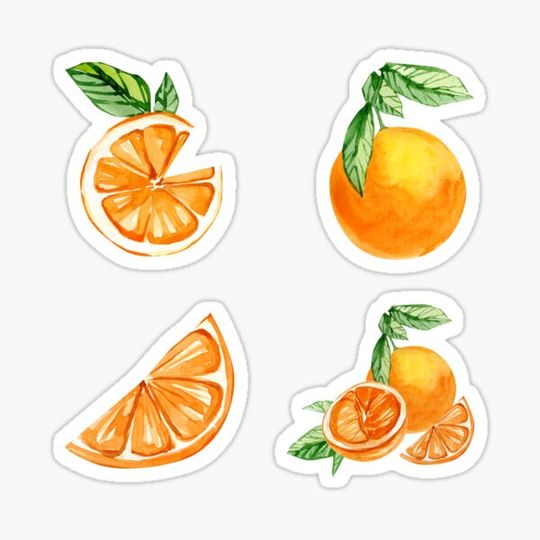 Discover Watercolor Oranges With Leaves Fruit Pack