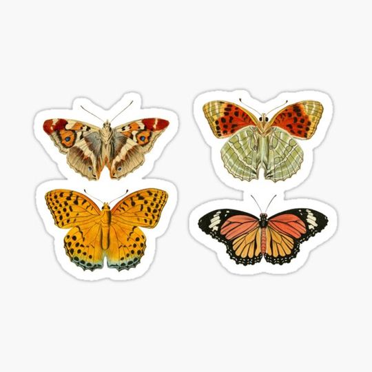 Discover Vintage butterflies sunset yellow and red