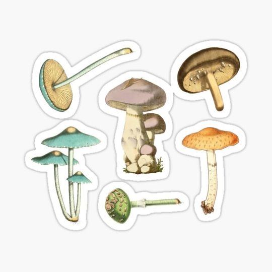 Discover MUSHROOM MEDLEY No.3 Mini Sticker Pack