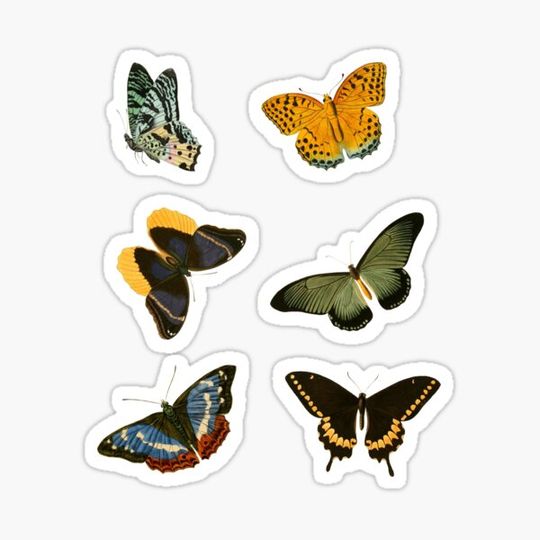 Discover butterfly vintage sticker pack