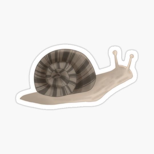 Discover Snail