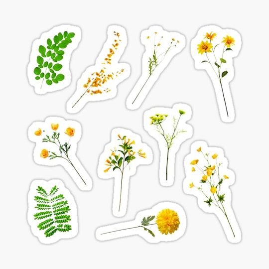 Discover Yellow Flower and Green Leaf and Floral Pattern Sticker Sheet Set ~ Collection Bundle Pack 2