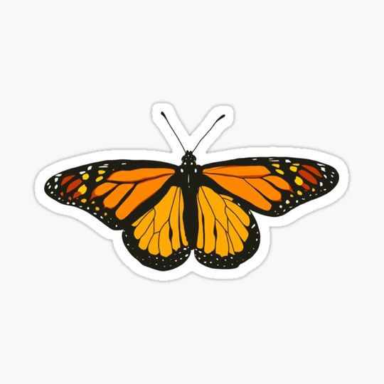 Discover orange monarch butterfly sticker