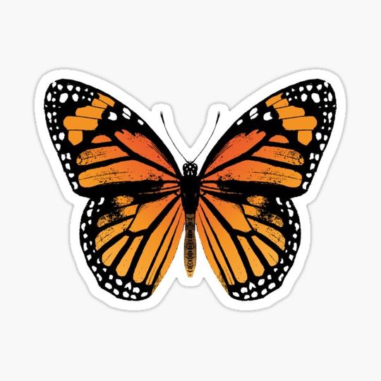 Monarch Butterfly | Vintage Butterflies | Orange Butterfly |