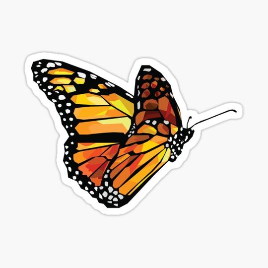 Discover Monarch Butterfly
