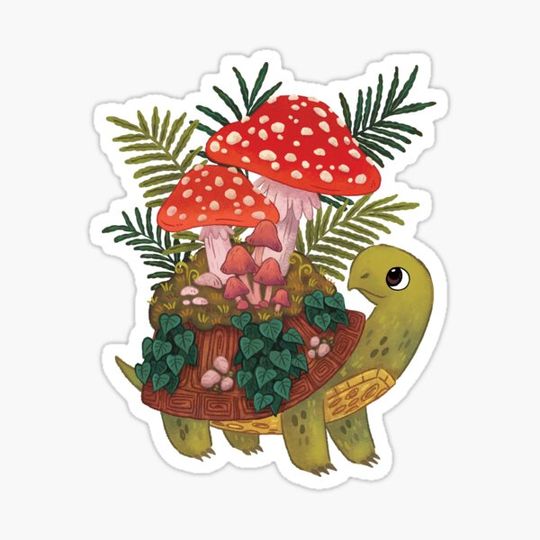 Discover Mushroom Planty Turtle