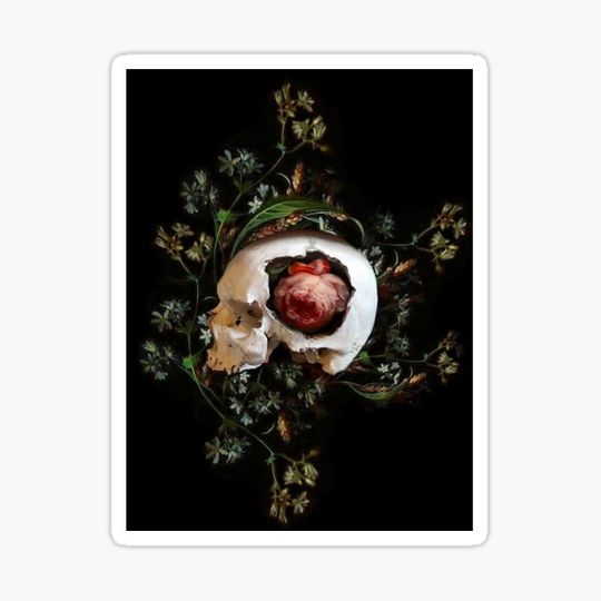 Discover DEAD NATURE II