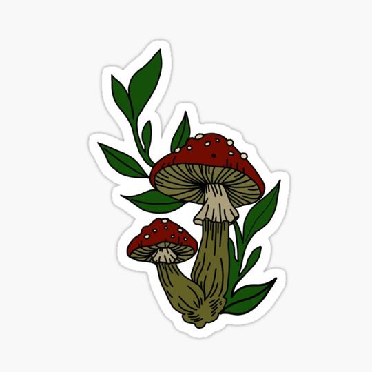 Discover Mushrooms :)