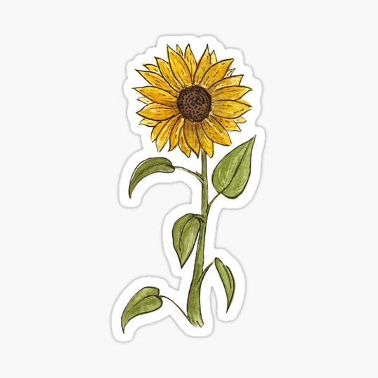 Discover Watercolour Sunflower