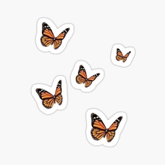 Discover Aesthetic butterfly prints