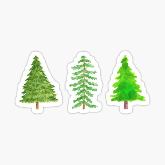 Discover Pine Tree Pack 2