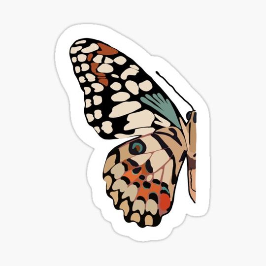 Discover butterfly