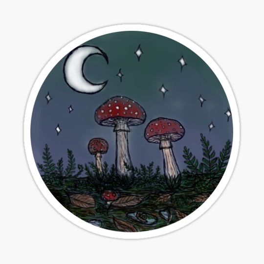Discover starry mushrooms