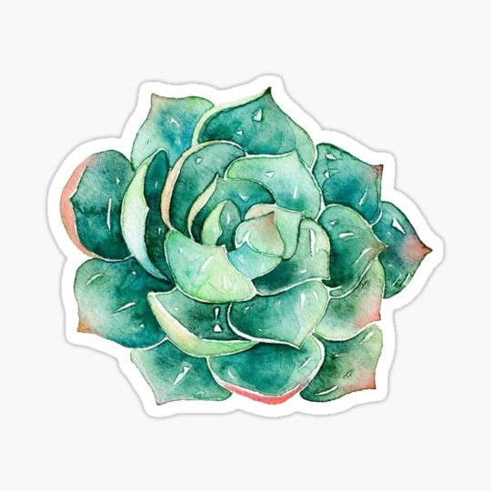 Discover Watercolor hand painted botanical Succulent sticker