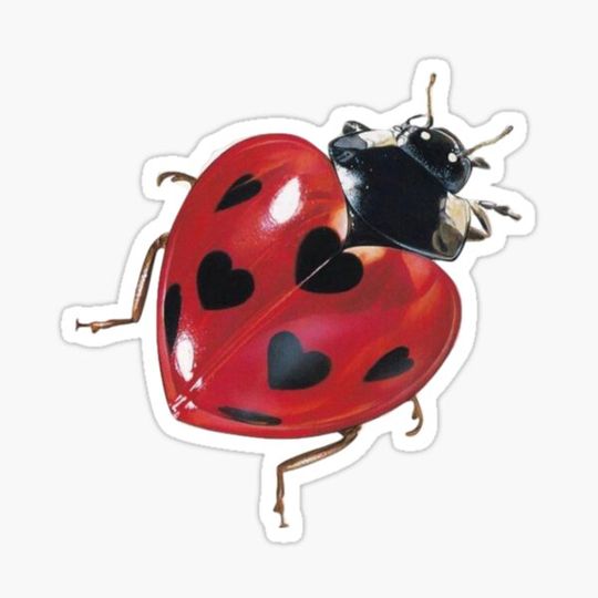 Discover heart ladubug sticker