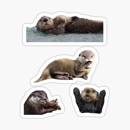 Discover otter sticker sheet