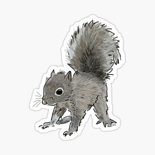 Discover squirrel friend