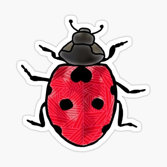 Discover Ladybug
