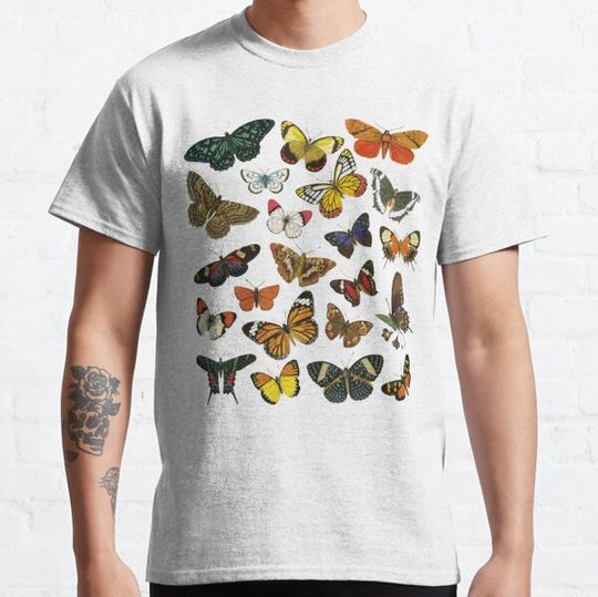 Discover The World of Butterflies