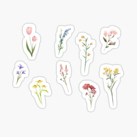 Discover Garden Flowers Pattern