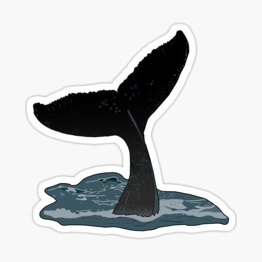 Discover Whale tail coming out of the water