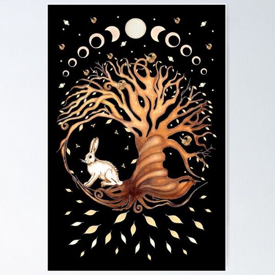 Discover Magic Hare