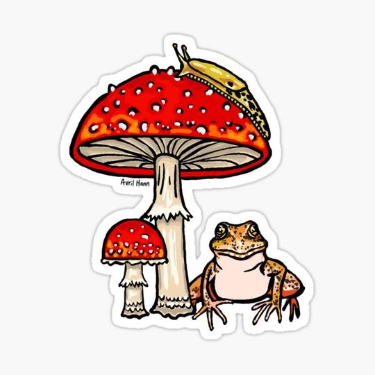 Discover Amphibians and Amanitas