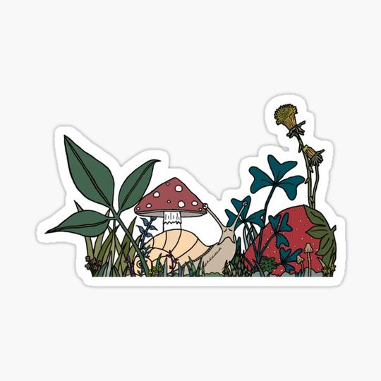 Discover Snail
