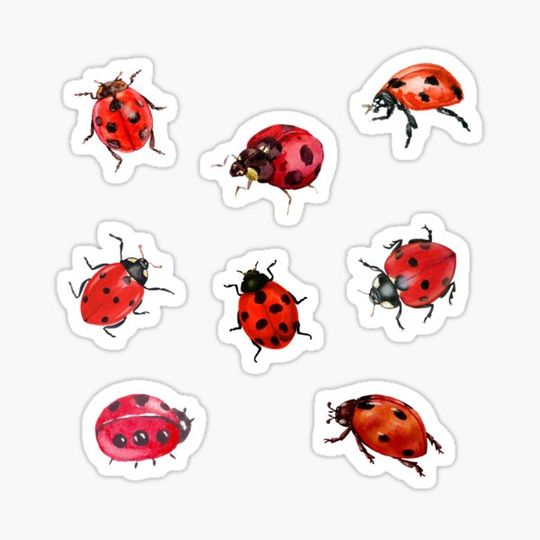 Discover Watercolor Ladybugs