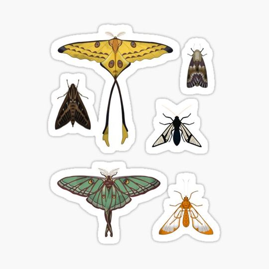 Discover Moth Sticker Sheet 2