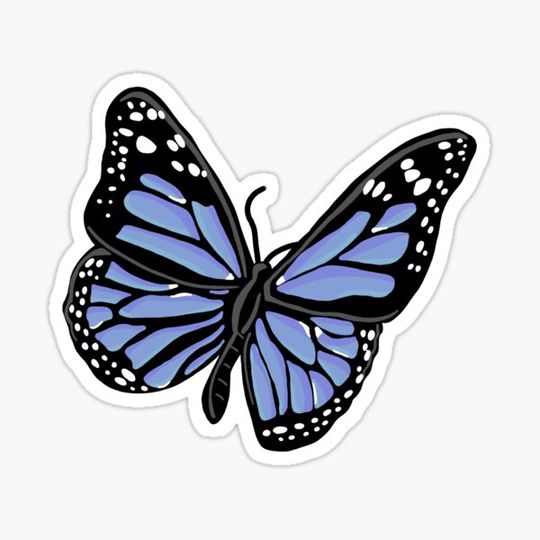 Discover Blue Lavender Butterfly