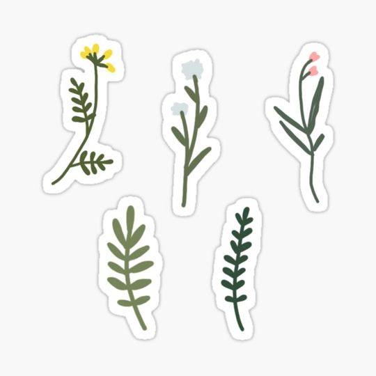 Discover Flower sticker pack 1