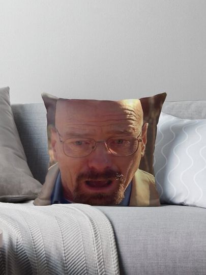Discover Walter White Meme
