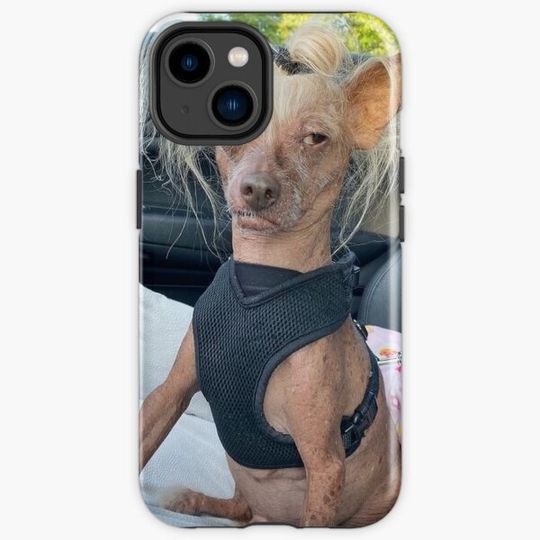 Discover Ugly Dog