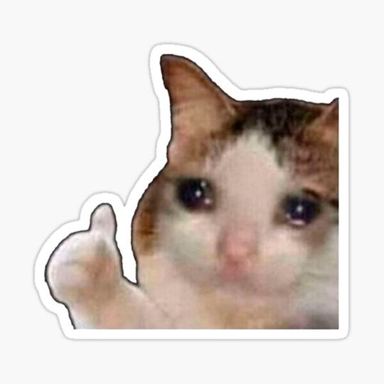 Discover Sad Cat meme sticker