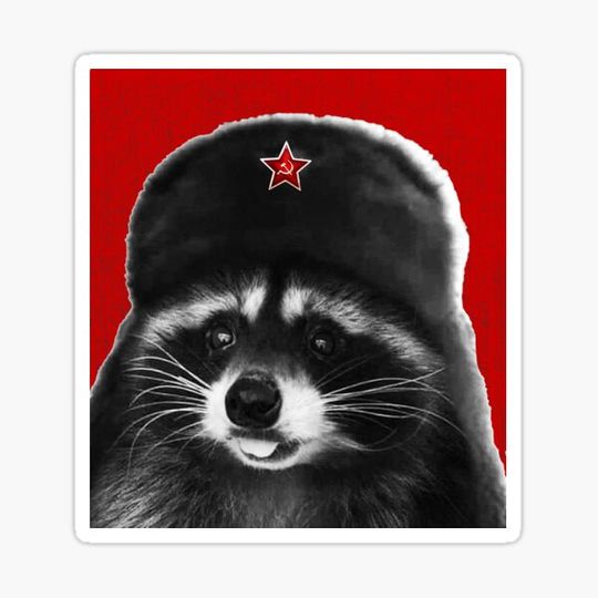 Discover Communist Raccoon