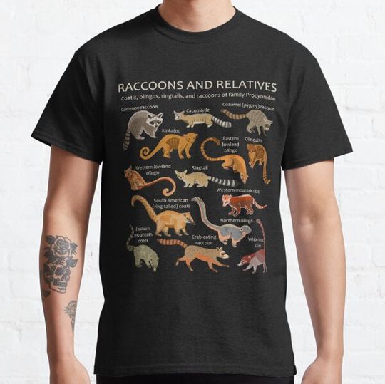 Discover Raccoons and Relatives: Species of Procyonidae (Coatis, Olingos, etc)
