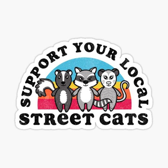 Discover Support Your Local Street Cats