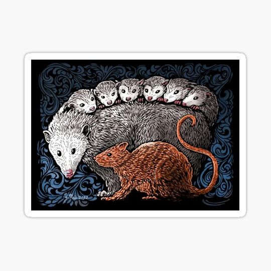 Discover Opossum and Rat