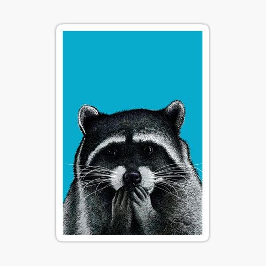 Discover Hungry Raccoon on blue