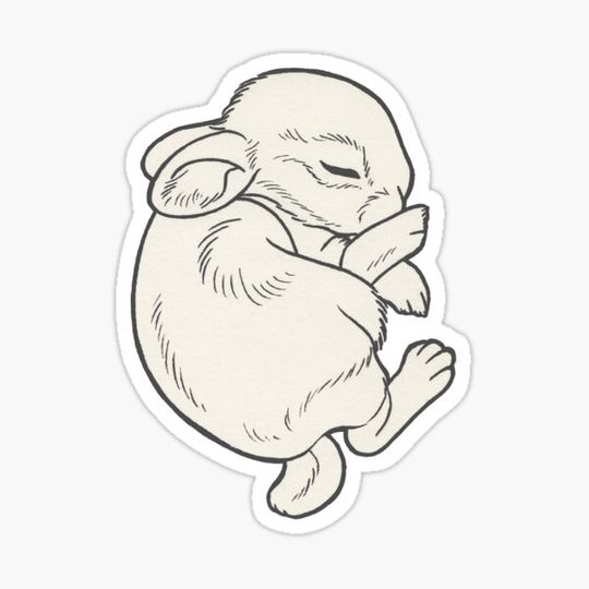 Discover Baby bunny pink
