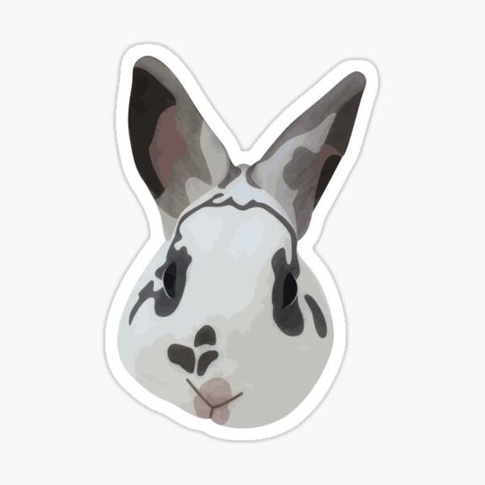 Discover Bunny Face Cartoon