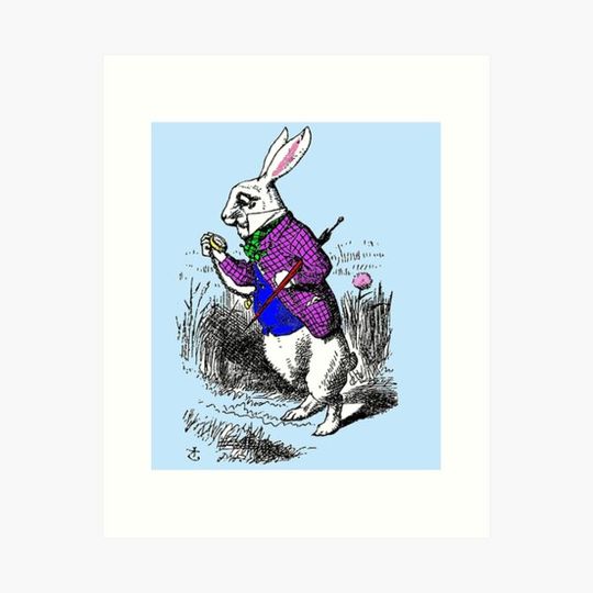 Discover The White Rabbit